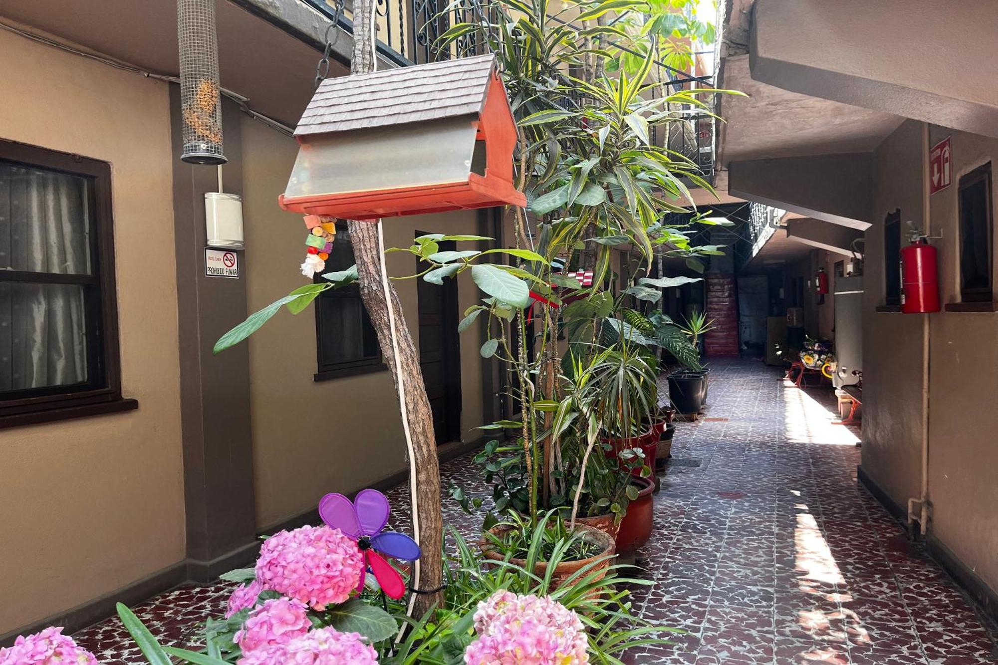 טיחואנה Oyo Hotel Linda מראה חיצוני תמונה